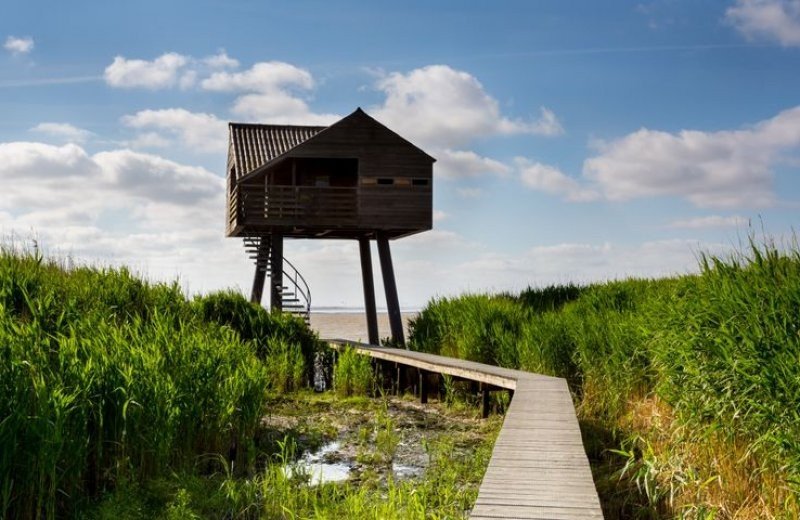 140 vogelkijkhut de kiekkaaste nieuwstatenzijl mk 20140614 5784
