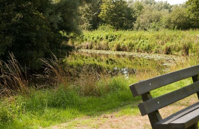 8124449omgeving wedderbergen