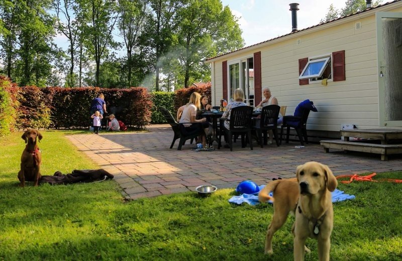 Chalet 2 bedrooms (pets allowed)